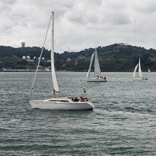 IMG-20250518-WA0004
