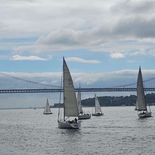 IMG-20250518-WA0011